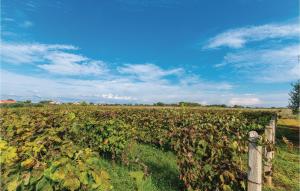 Holiday Home Privlaka 03