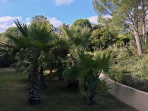 Villas Magnifique villa avec piscine en Provence Verte : photos des chambres