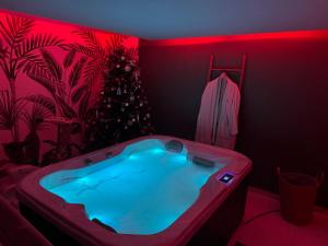Appartements Chez Isa - avec piscine chauffee et jacuzzi : photos des chambres