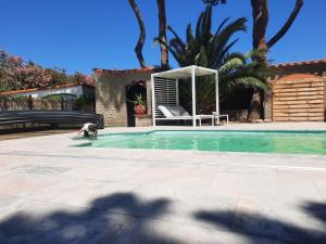 Villas Domaine des Pins : photos des chambres