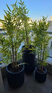 FreeDom Paseo de la Cisterna UF28