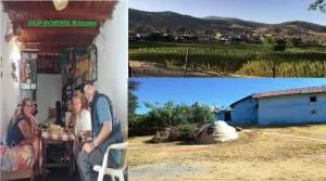 OLD School FAMILY KETAMA - Ketama