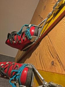 Luxusapartment im alpin-chic Stil mit Pistenzugang