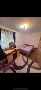 Apartament Florina - 布雷佐伊
