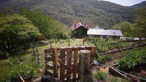 Sejours a la campagne L-Oasis du Bosc : photos des chambres