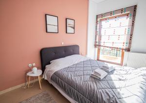 Ξενώνας Βυσωκά