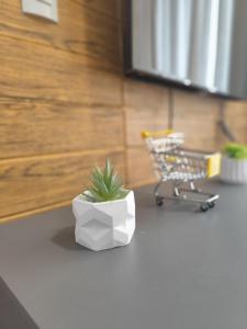 Apartamento novo com jardim privativo!