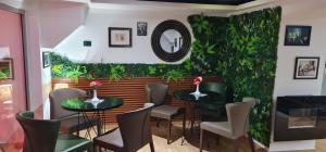 Funky Guest House & Adventures