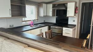 Sunflower 62 Braunton