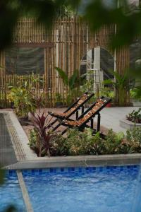 Thachs Homestay Tam Coc