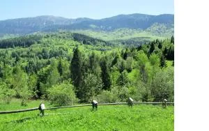 Kwatery U Adama Zawoja - Bystra