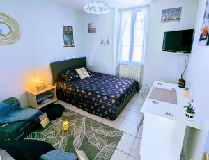 Le diamant bleu proche gare et thermes, parking - 3-star hotels in Dax