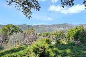 Appartements Studio charmant avec piscine partagee a Draguignan, 42 m² : photos des chambres