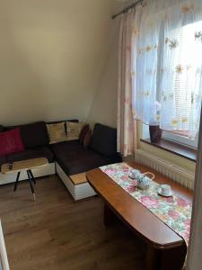 Apartament Tujka Żywiec