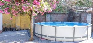 Hospedaje curicó casa grande