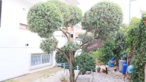 Luxury 160sqm wifi Parking, near Pompeii & Amalfi