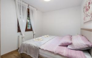 4 Bedroom Amazing Home In Otocac