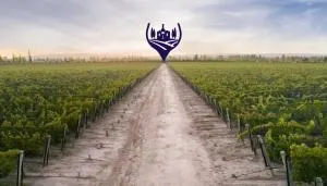 Brasil en Chile - Malloco