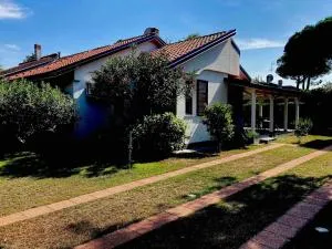 Sea, garden, and magical harmony - Goro