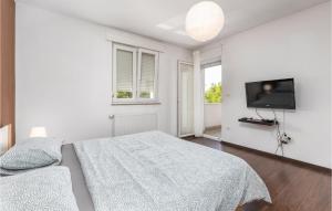 Cozy Apartment In Skalnica With Wifi