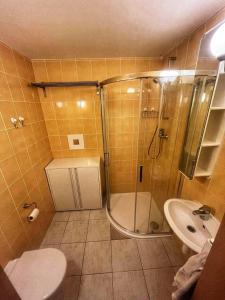 Spacious Apartment - Svoboda nad Úpou