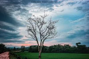 Cloud Crest - Pitabeddera