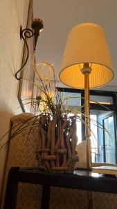 Steinhuder Meer 1 Zi Ferienwohnung Vogelnest am See Sauna Balkon Fahrstuhl