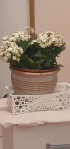 Appartements Studio cosy 33 : photos des chambres