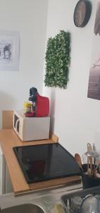 Appartements Studio cosy 33 : photos des chambres