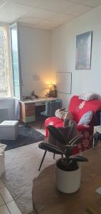 Appartements Studio cosy 33 : photos des chambres