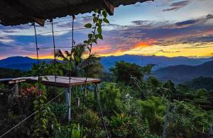 Salawin Fruit Jungle Farmstay