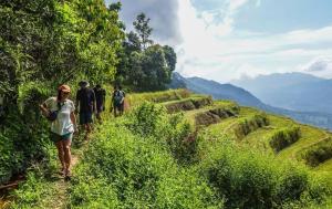Salawin Fruit Jungle Farmstay