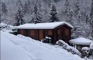 Drevenice Oščadnica - Holadeji