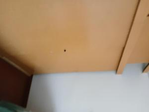 4 min from Costanera Villarrica