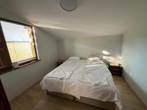 КЪЩА ЗА ГОСТИ Раковска 97