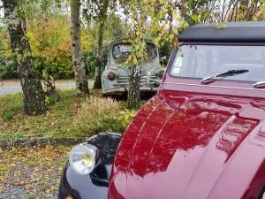 La Thibaudière Gite 70m2 - Boussageau