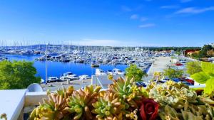 CityCenter Biograd