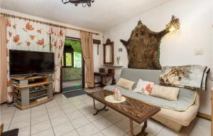 Nice Home In Krivi Put With Wifi