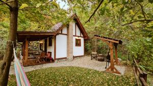 Explorers Dream - Transylvania