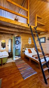 Explorers Dream - Transylvania