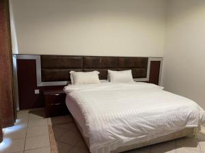 مريوطيه هرم الممشي السياحى