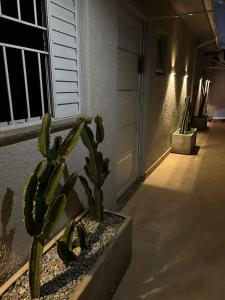 POUSADA BRAGANTINA Economic