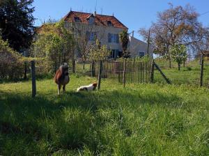 Maisons de vacances La Ferme des Augustines : photos des chambres