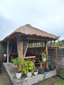 D Rinjani View Bungalow