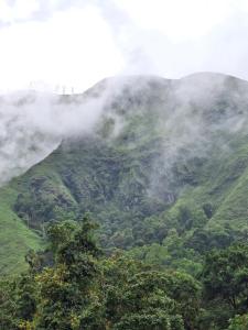 D Rinjani View Bungalow