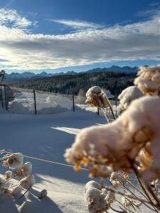 Janiołowa Ostoja Apartament pod Tatrami