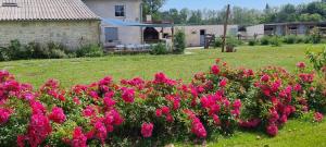 Maisons de vacances La Ferme des Augustines : photos des chambres