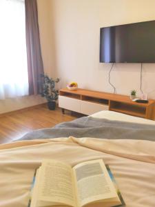 Dani Lux Belgrade Center Studio Apartment