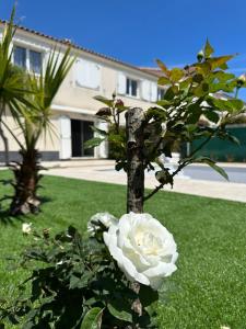 Villas Villa avec Piscine privee proche des plages : photos des chambres