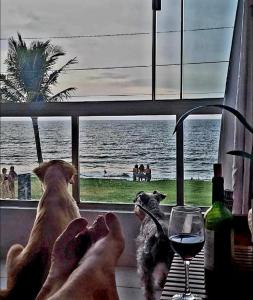 Apartamento aconchegante frente para o mar